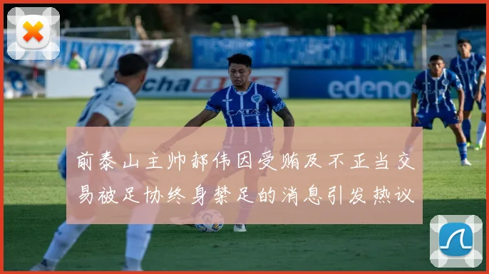 前泰山主帅郝伟因受贿及不正当交易被足协终身禁足的消息引发热议