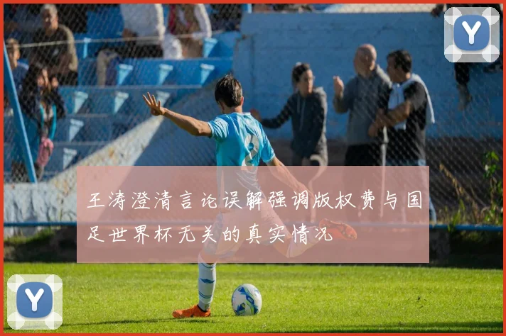 王涛澄清言论误解强调版权费与国足世界杯无关的真实情况